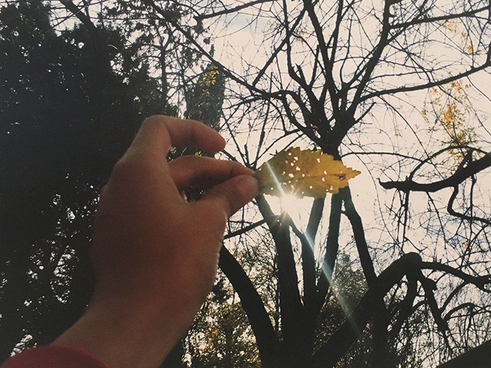 Arte al aire libre - Actividad de dibujo y pintura