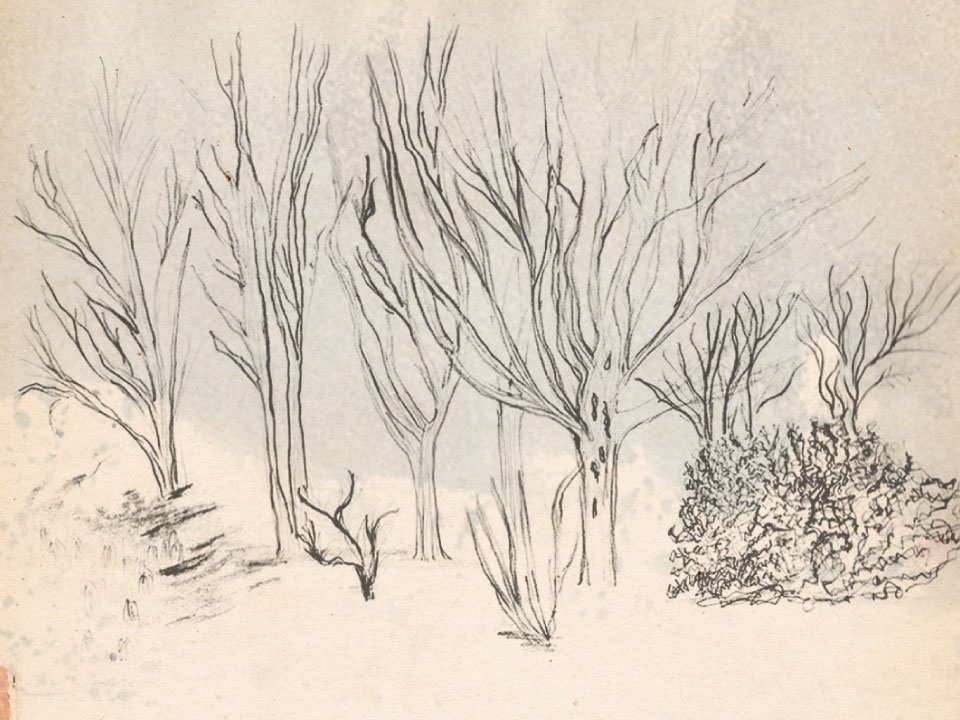 UNA de poetas | Invierno