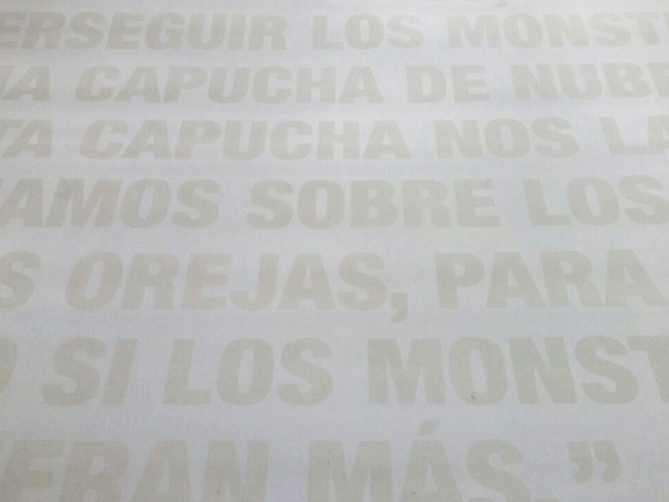 ​Trabajando junto al Taller de Litografía en la obra de Julieta Hanono