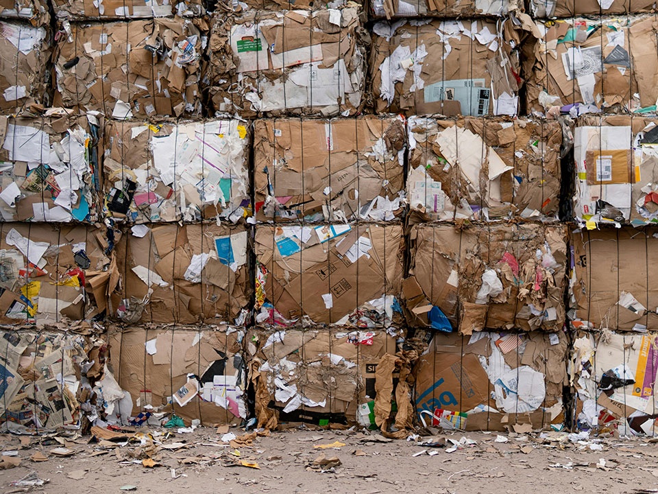 17 de mayo | Día Mundial del Reciclaje