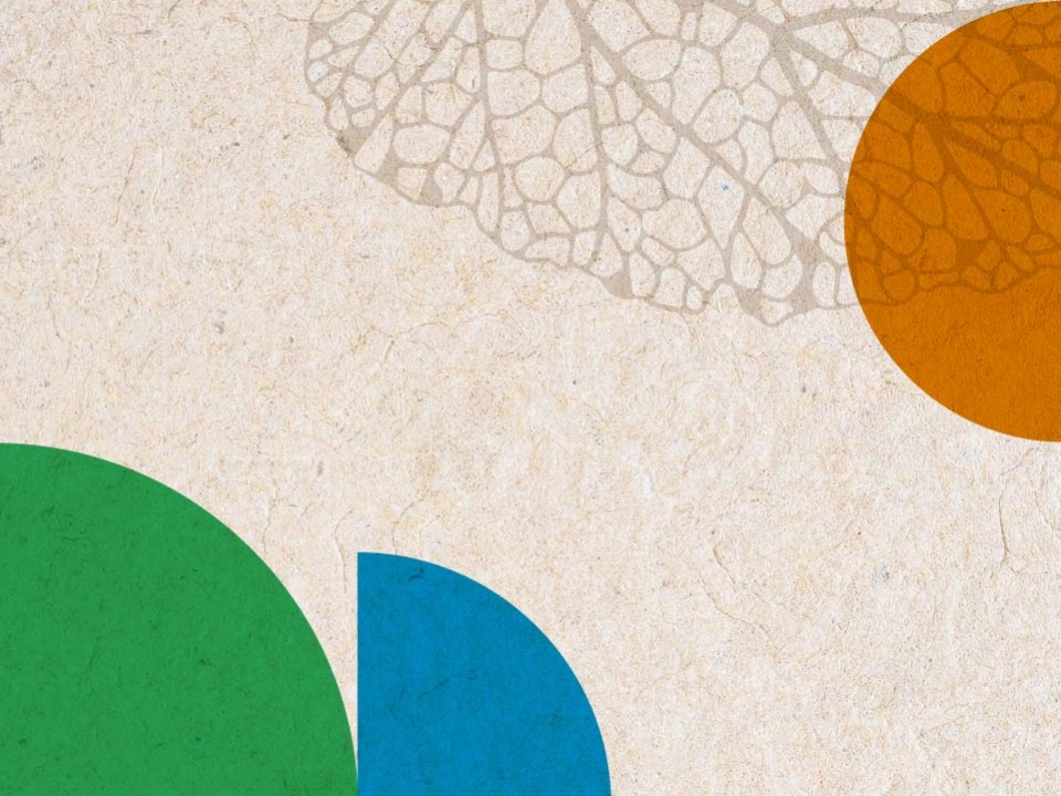  ¿Qué hacemos desde la UNA para cuidar lo nuestro? | Día Mundial del Ambiente 